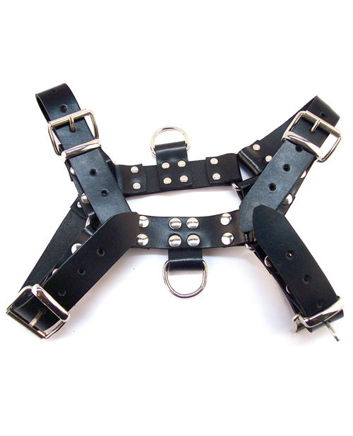 rouge-over-the-head-xlarge-harness-black2