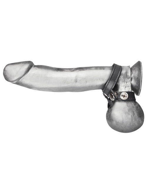 blue-line-c-b-8-style-ball-divider4