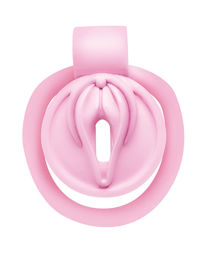 master-series-pussification-vulva-locking-chastity-cage-pink5